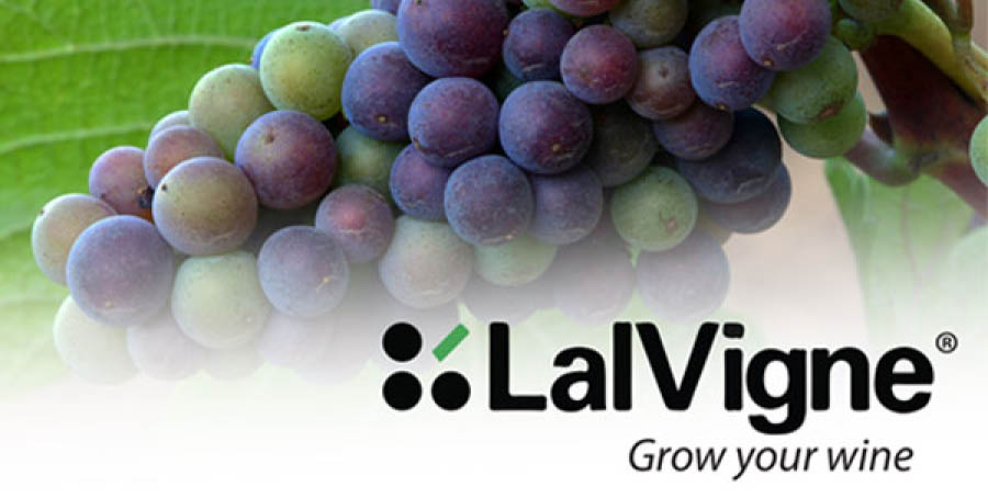 Lalvigne Grow your wine