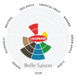 Lallemand Belle Saison, 11 g Trocken-Reinzuchthefe für Bier (ca 10l)