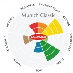 Münchner Weizen Classic Trocken-Reinzuchthefe 11 g für Bier (ca.10l), Lallemand