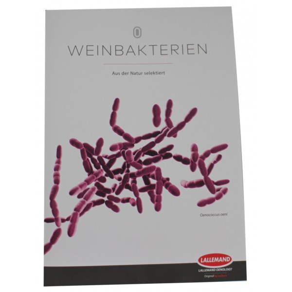 Infobroschüre Lallemand Weinbakterien 