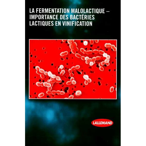 La fermentation Malolactique Edition Lallemand 2017