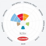 Lallemand Köln Kölsch, 500 g Trocken-Reinzuchthefe MHD 04.2024