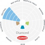 Lallemand Diamond Lager Trocken-Reinzuchthefe 0.5kg MHD: 10.2023