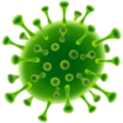 Aktuelle Information zum Coronavirus