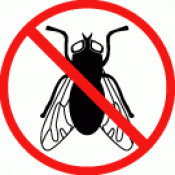 Insektenschutz (für drinnen)